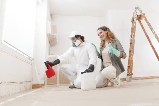 Best Crawl Space Mold Remediation  in Moodus, CT