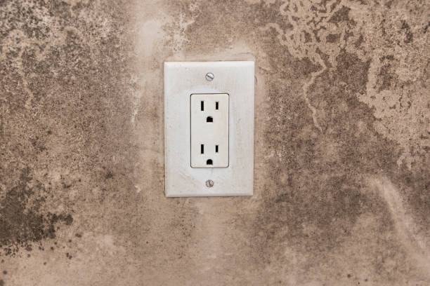Best Dehumidification Services  in Moodus, CT